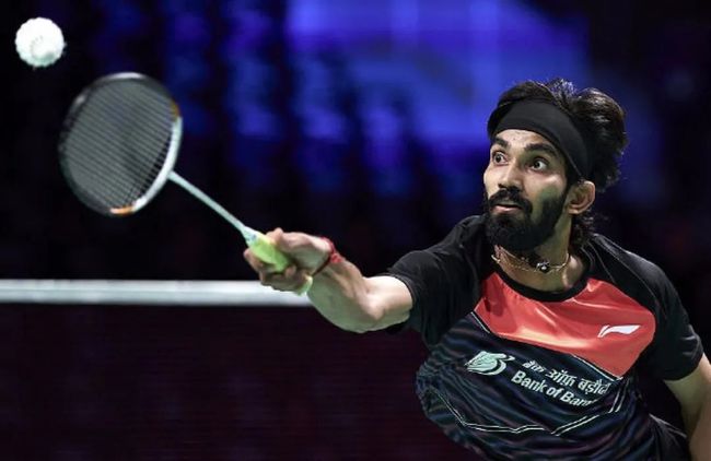 提供了坚实 提供了坚实